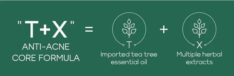 Fenyi Tea Tree Acne Toner Oil Control Facial Skin Care 100ml