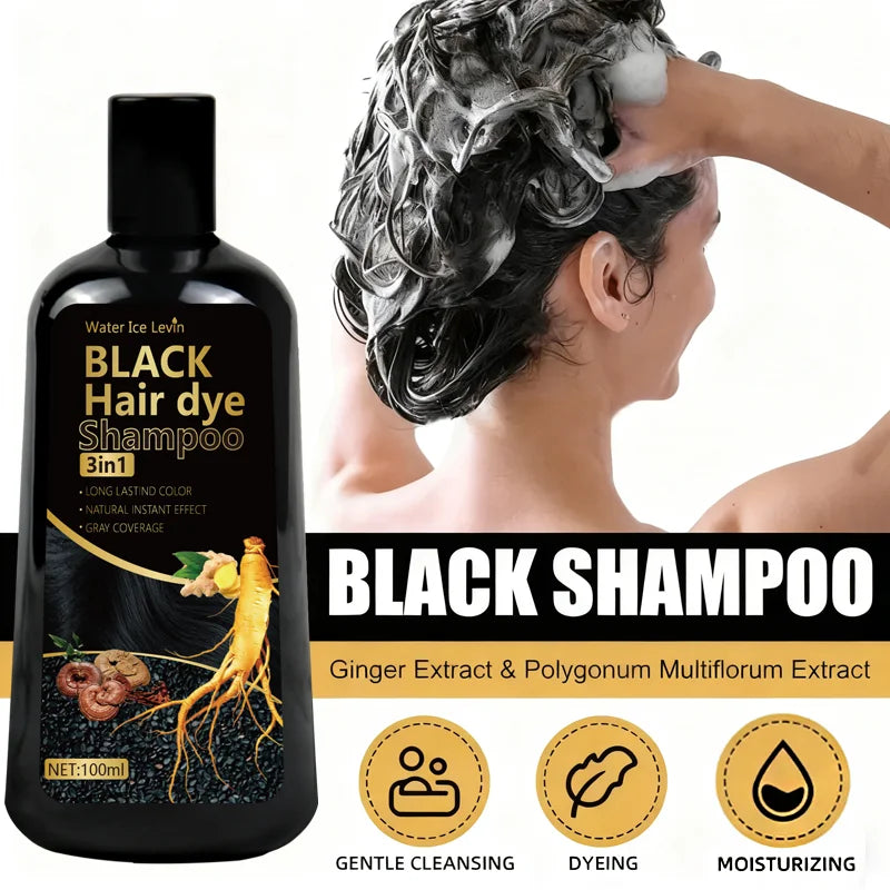 3in1 Black Hair Dye Shampoo with Ginger and Biotin 100g