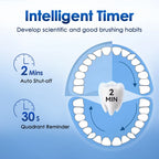 3D Rotating Rechargeable Electric Toothbrush for Adults