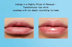 Meidian Fruity Lip Balm Set Moisturizing Lip Care Treatment