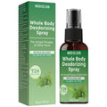 Water Ice Levin Whole Body Deodorizing Spray Aluminum Free Mint Fresh