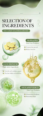 Sadoer Ginseng Anti Hair Loss Shampoo Nourishing Scalp Treatment 500ml