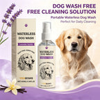 Waterless Dog Shampoo Spray for Quick Cleaning and Odor Removal