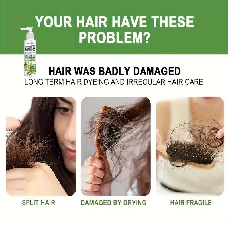 Sulfate Free Scalp Clarifying Shampoo with Tea Tree and Arnica 150g