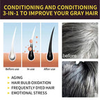 3 in 1 Black Hair Dye Shampoo for Gray Hair Coverage