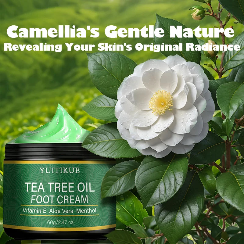 YUITIKUE Tea Tree Oil Foot Cream Repair and Moisturizing Treatment 60g