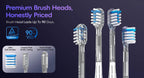 Portable Electric Water Flosser and Sonic Toothbrush Oral Care Kit