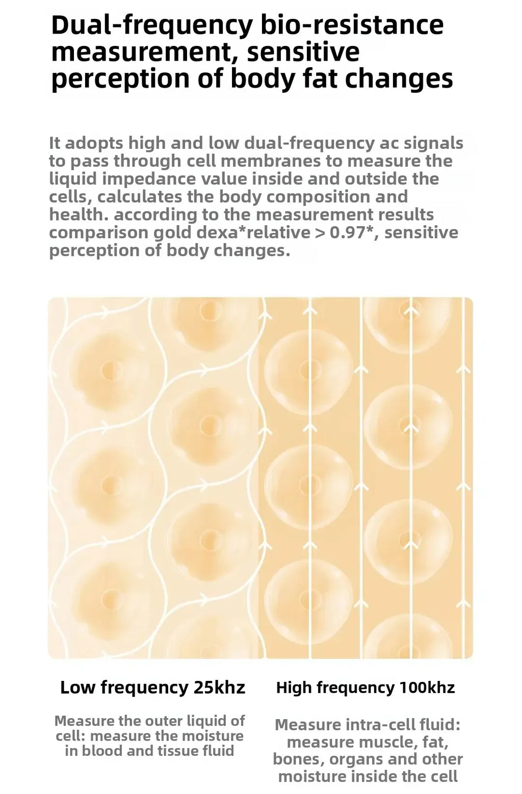 Mijia Smart Scale S800 8 Electrode Body Fat Monitor Bluetooth BMI Scale