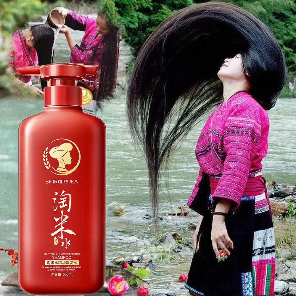 Whsa Ginseng Ginger Shampoo Anti Hair Loss Deep Cleansing Treatment 500ml