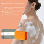 Persimmon Extract Deodorizing Body Soap for Aging Odor