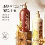 Whsa Ginseng Ginger Shampoo Anti Hair Loss Deep Cleansing Treatment 500ml