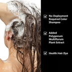 Water Ice Levin 9-in-1 Black Hair Dye Shampoo 100g