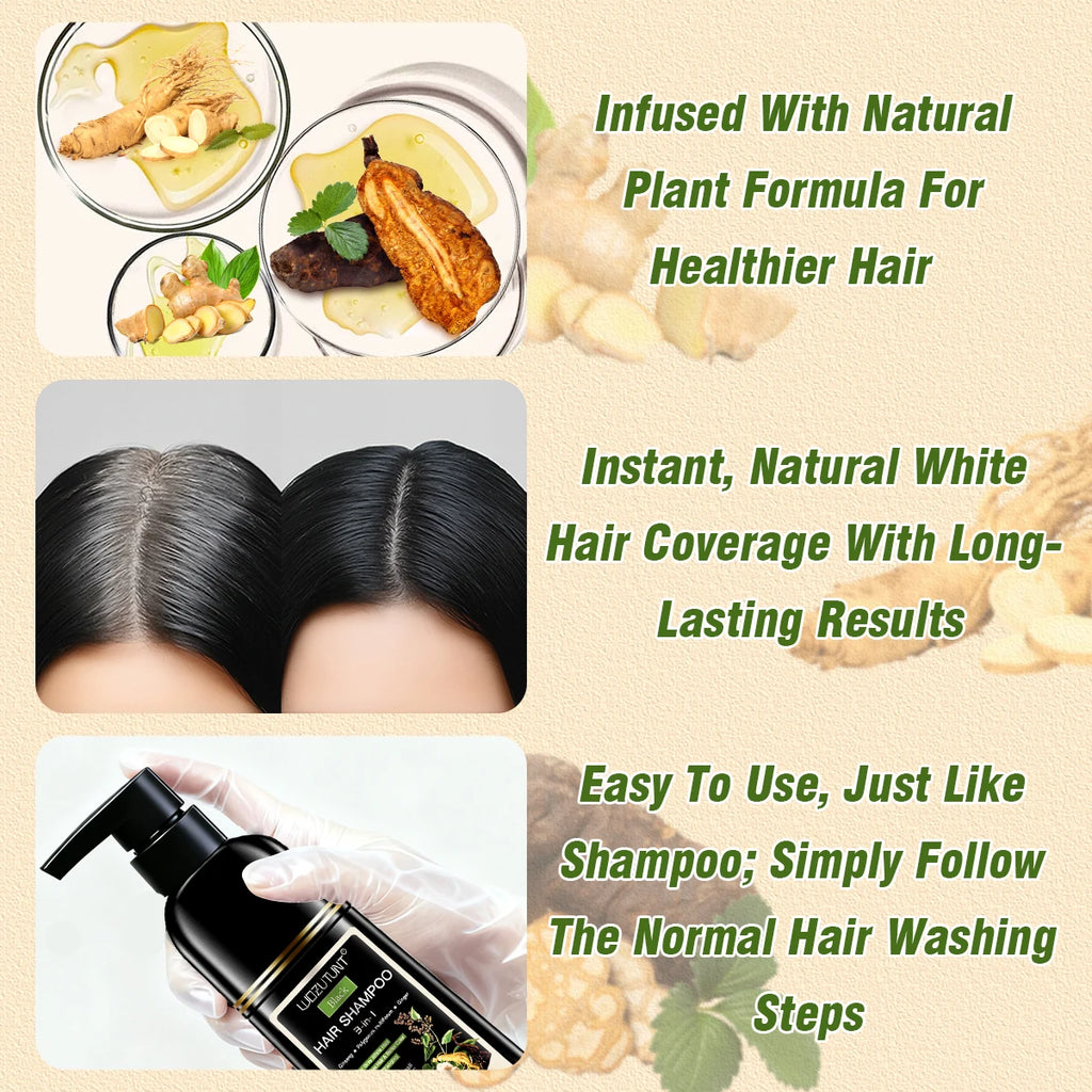 3 in 1 Black Hair Dye Shampoo and Soap for Gray Hair Coverage