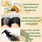 3 in 1 Black Hair Dye Shampoo and Soap for Gray Hair Coverage