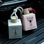 4 Pack Car Air Freshener Hanging Diffuser Interior Fragrance Set