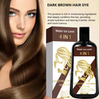 4-in-1 Chestnut Brown Hair Dye Shampoo 100ml