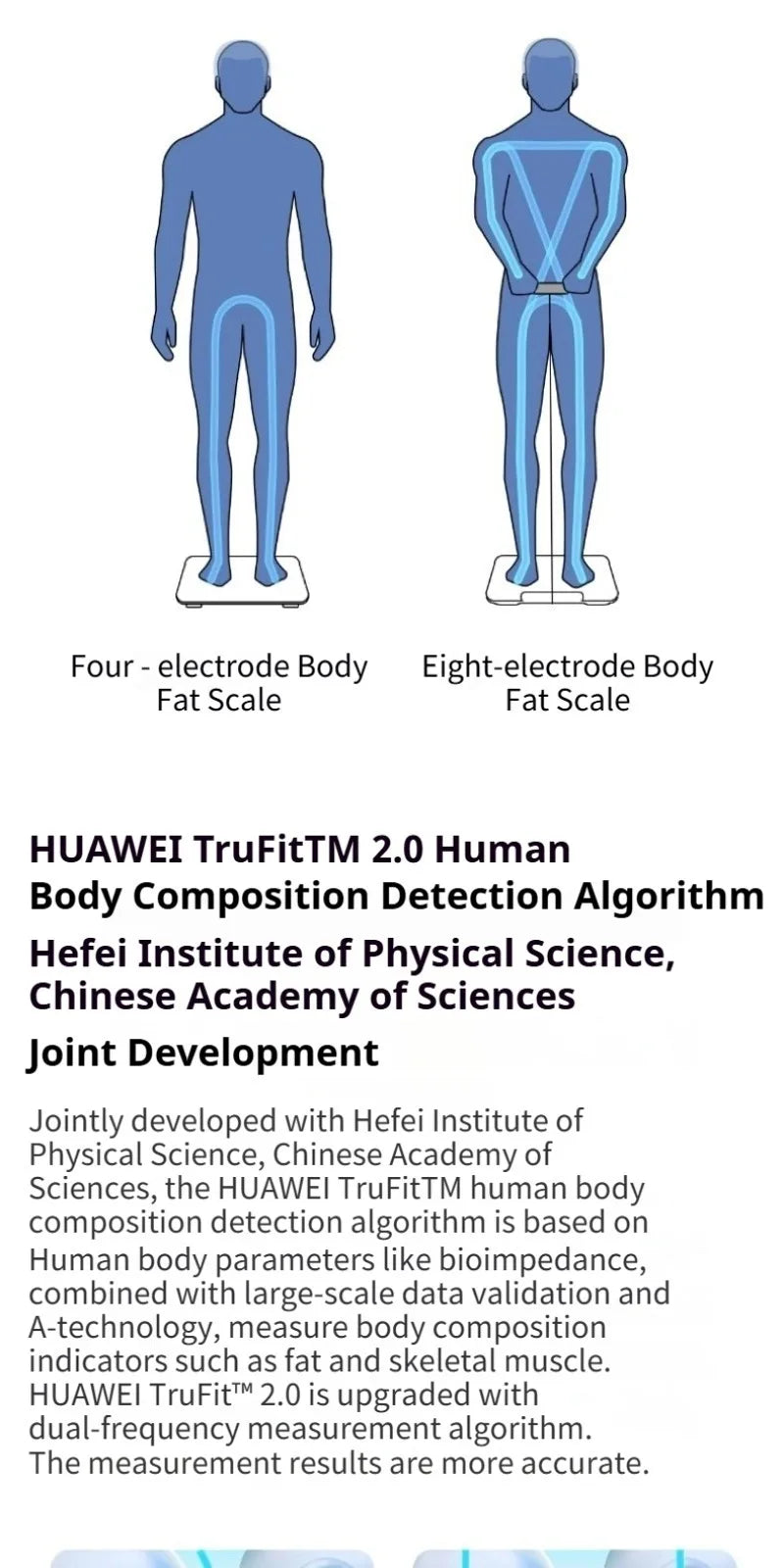 Huawei Body Fat Scale 3 Pro Smart Electronic Digital Weight Balance - 13