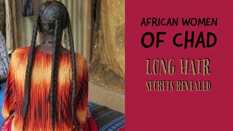 South African Tribal Herbal Shampoo for Hair Growth and Anti Hair Loss - 6