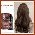 Organic Ginger Hair Blackening Shampoo 500ml Permanent Color Dye