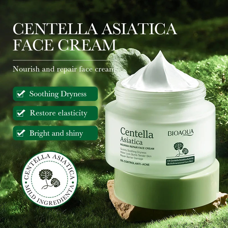 Renhe Centella Moisturizing Cream Hydrating Face Care for All Skin Types